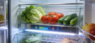 Холодильник с зоной свежести – нужна ли эта функция