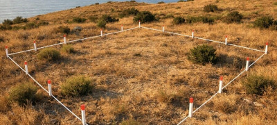 Земля у моря: почему инвестиции в крымские участки бьют рекорды популярности