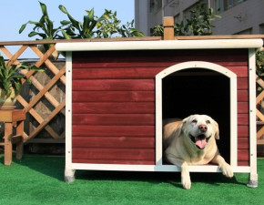 Как сделать собаке зимнюю будку самостоятельно — как утеплять вольер