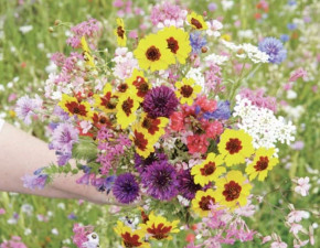 Цветочные букеты и их влияние на настроение: психология и нейробиология цветочных аранжировок