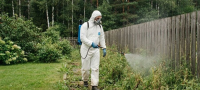 Как подготовить участок к сезону клещей и сделать отдых безопаснее