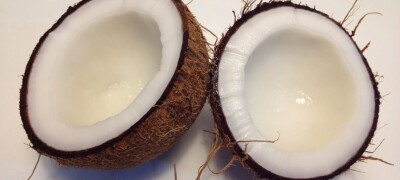 Как разделывать и употреблять кокос в домашних условиях