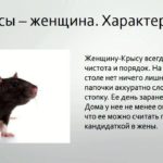 год крысы характеристика женщины