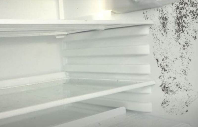 как устранить плесень в холодильнике