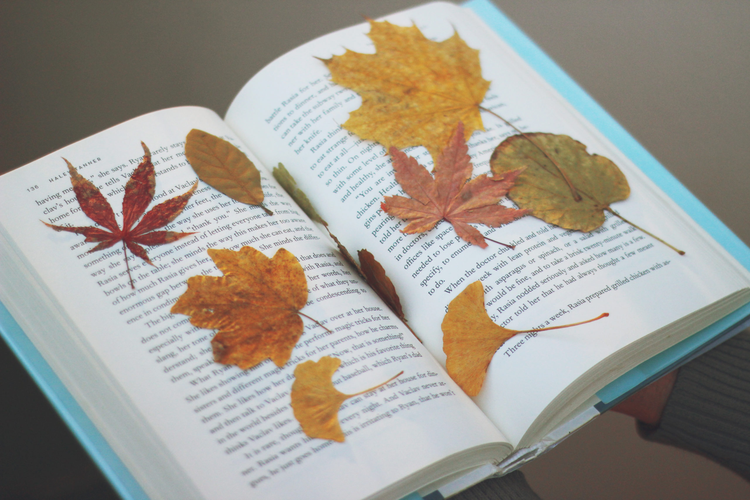 листья в книге