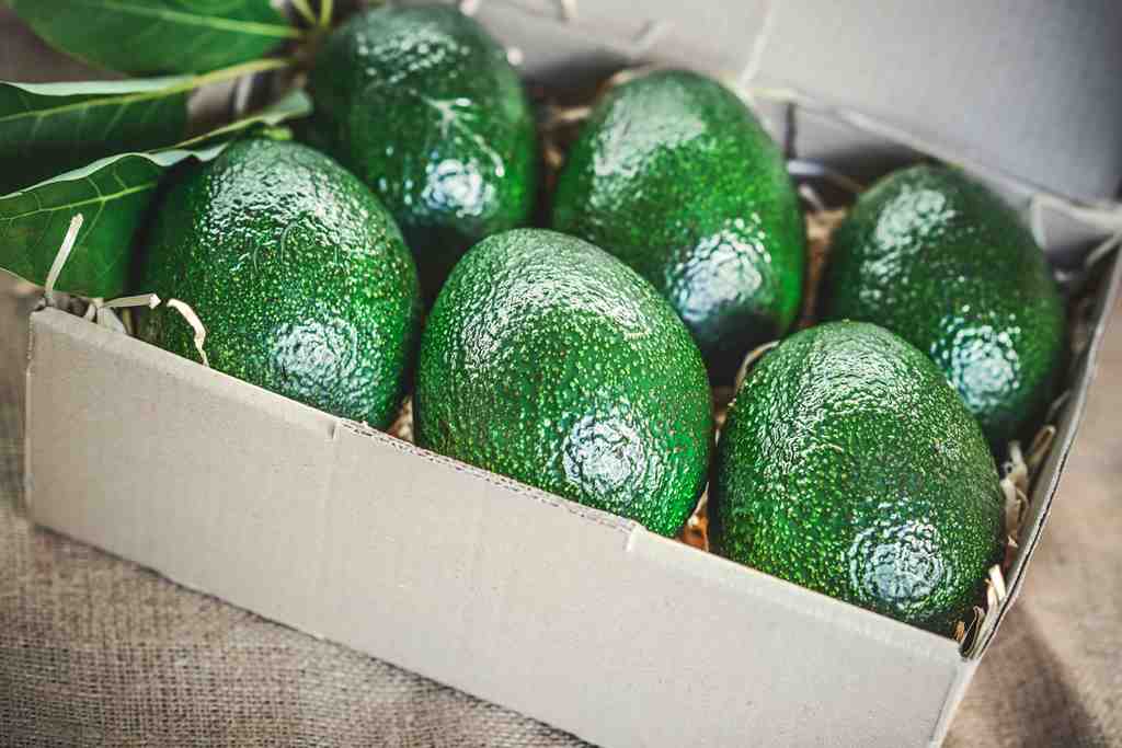 как хранить авокадо правильно