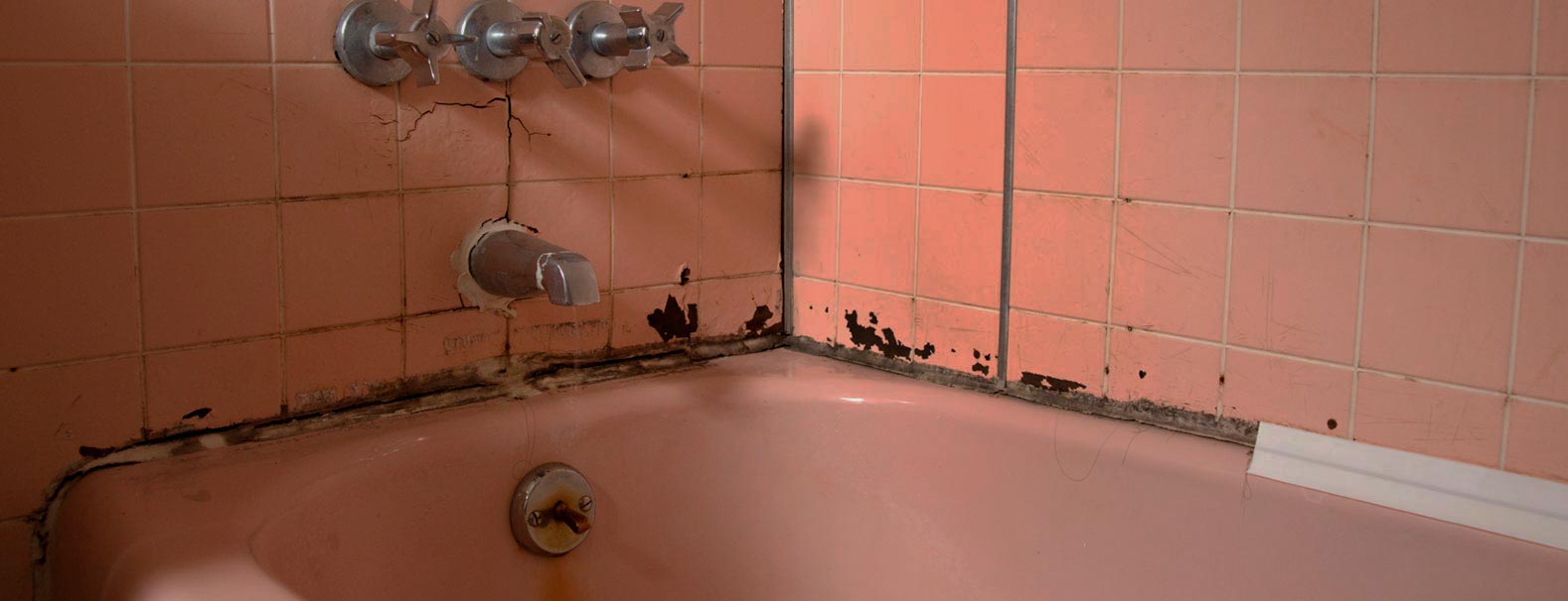 грибки и плесень в ванной комнате