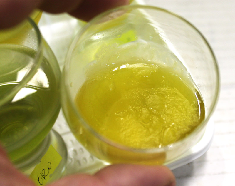 оливковое масло кристаллизуется