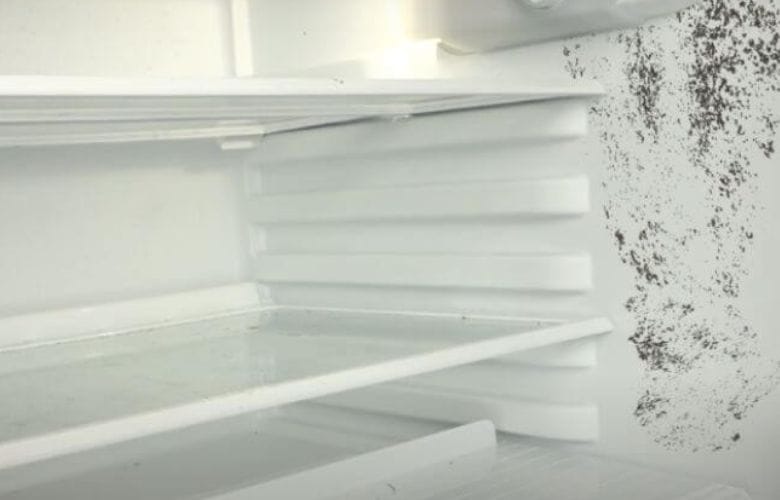 плесень в холодильнике