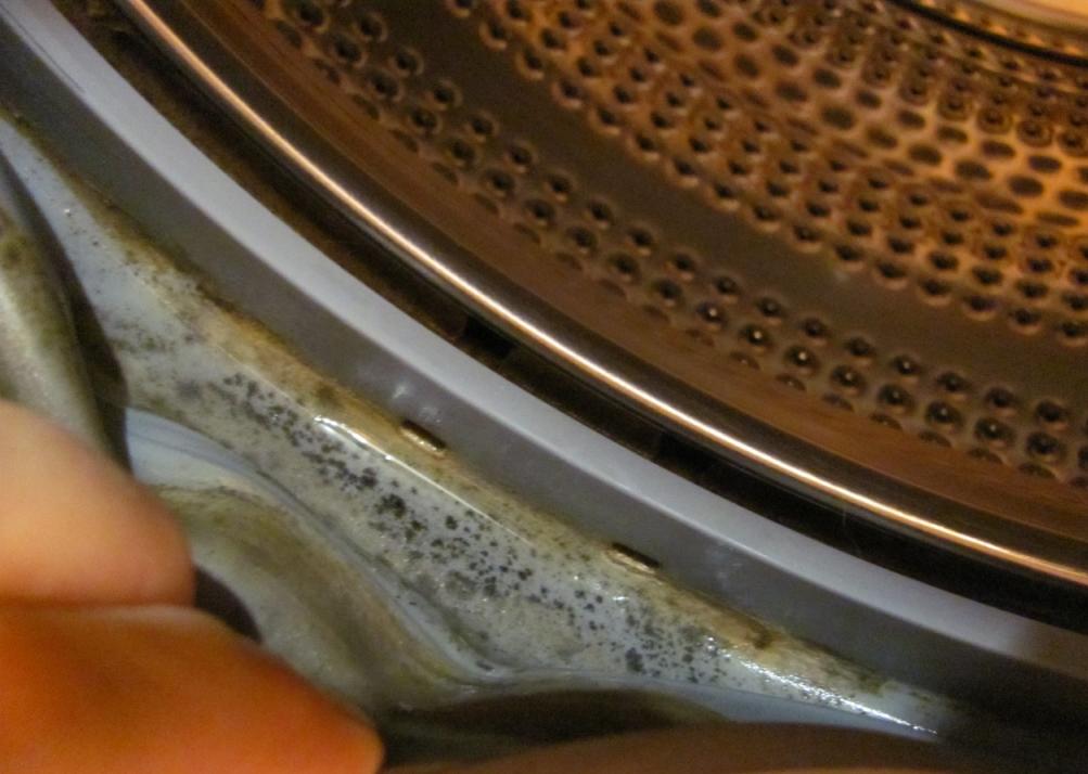 плесень в стиральной машине на резинке