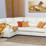 белый кожаный диван с леопардом