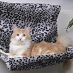 лежак для кота лео