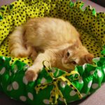 лежак для кота зеленый