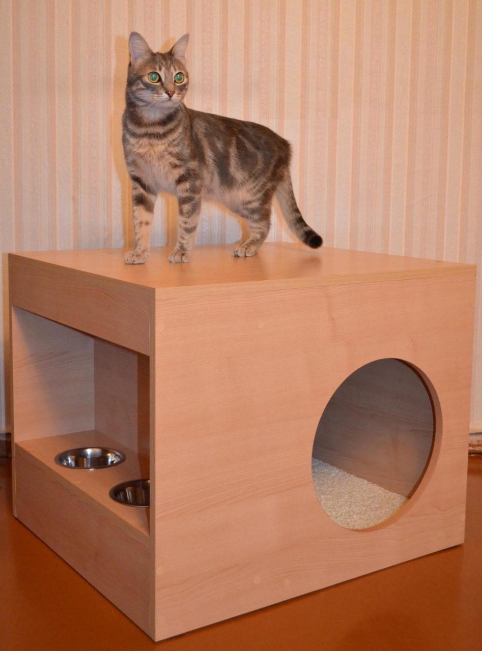 Сделать домик для кошек из коробок. Домик для кошек. Домик для кошки из коробки. Домики для котов из коробок. Домик для кота из картона.