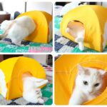 лежак для кота желтый
