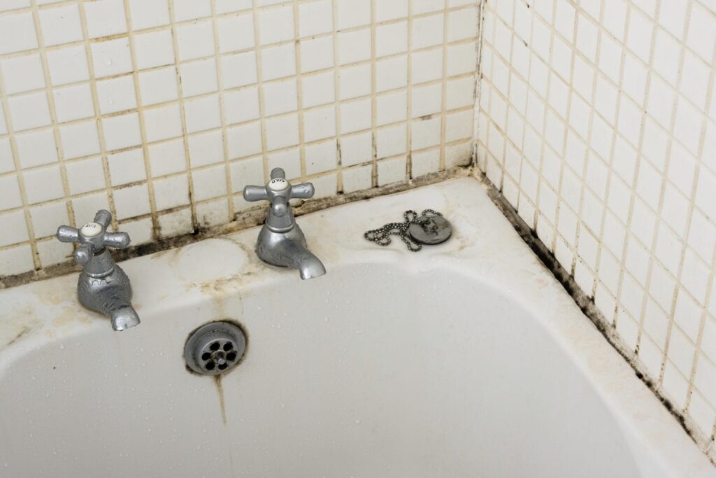 Jak se zbavit brouků v koupelně?