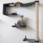 настенные полки для кошек декор