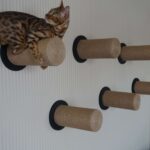 настенные полки для кошек фото декора