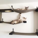 настенные полки для кошек фото интерьер