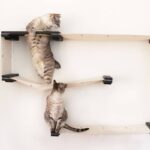 настенные полки для кошек идеи оформление