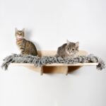 настенные полки для кошек виды дизайна
