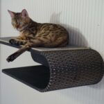 настенные полки для кошек фото дизайн