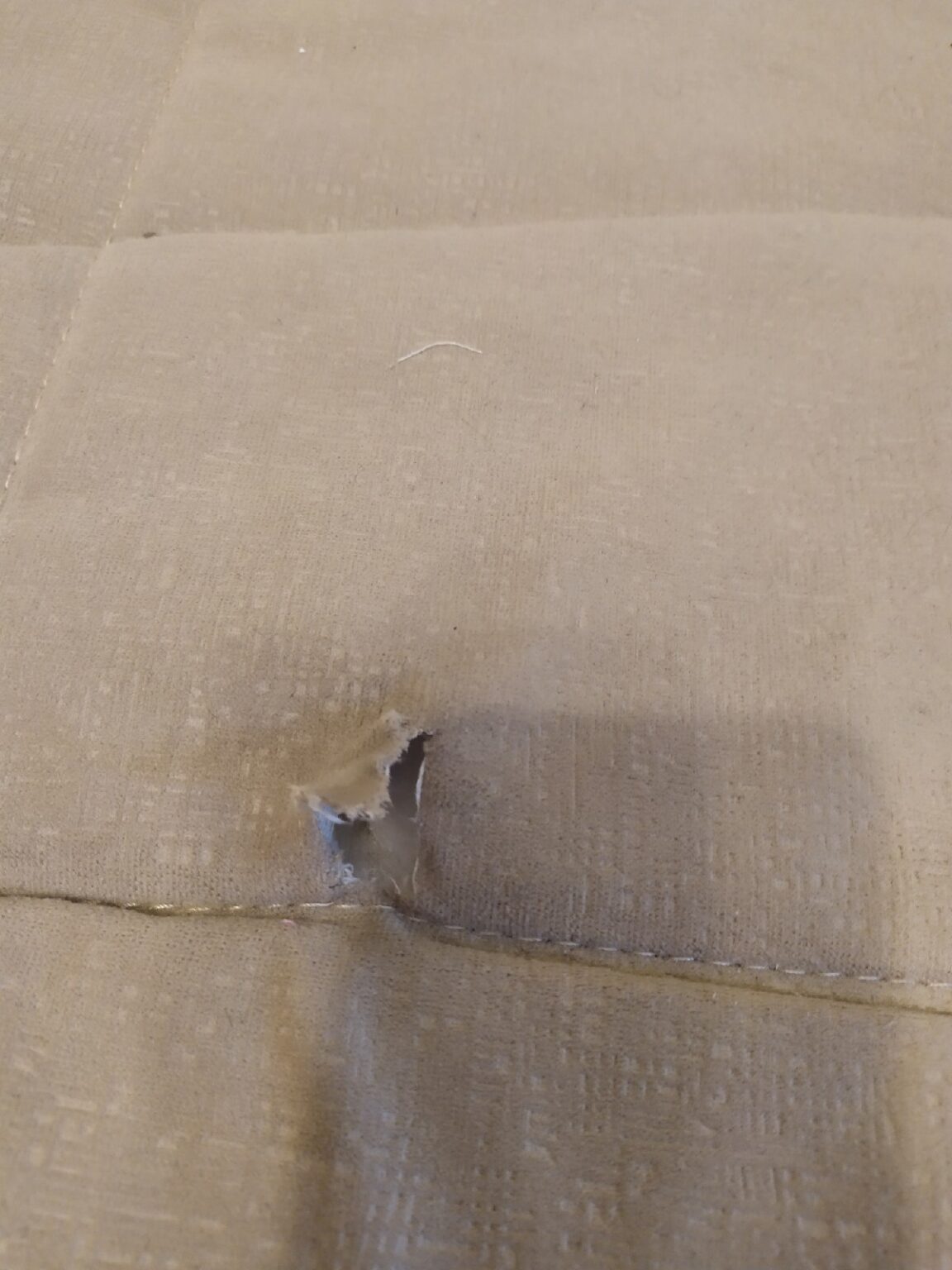 Чистка засаленных мест на диване